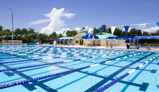 A swimming pool with many blue and white umbrellas.